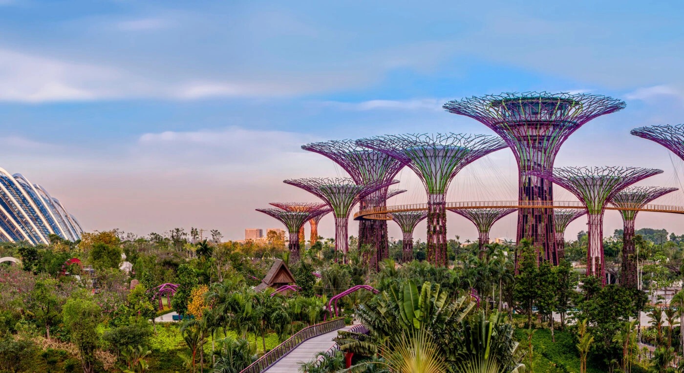 Supertrees, Singapore