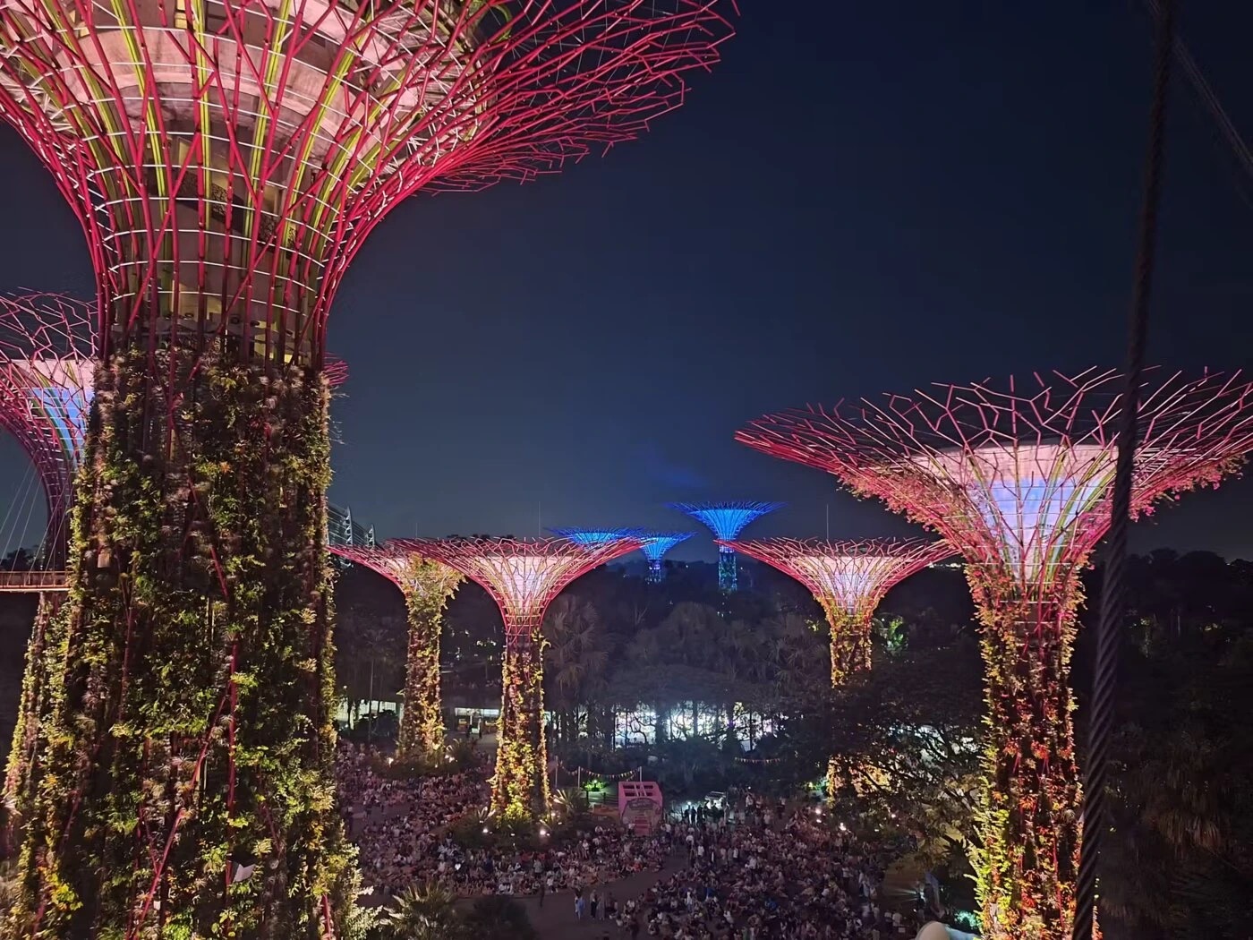 Supertrees at Gardens by the Bay, Singapore